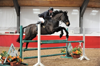 Allan Birch Claims his Second Qualifying Ticket in the SEIB Winter Novice Qualifier at SouthView Equestrian Centre